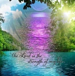 Meet your Posher, Betty